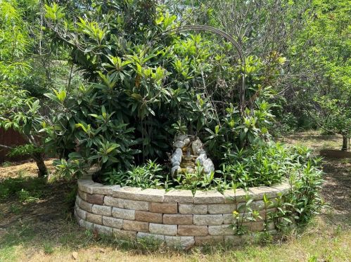 5640 Emma Thompson Way, Austin TX 78747-1707 exterior