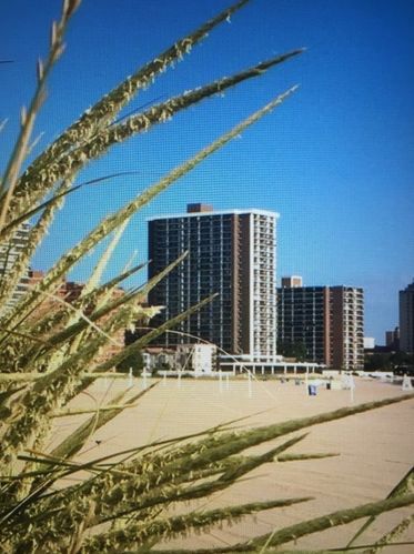 5855 Sheridan Rd, Chicago IL  60660-3816 exterior