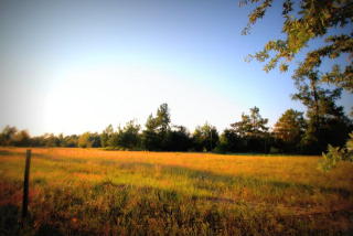 930 Bennock Mill Rd, Augusta GA  30906-8704 exterior