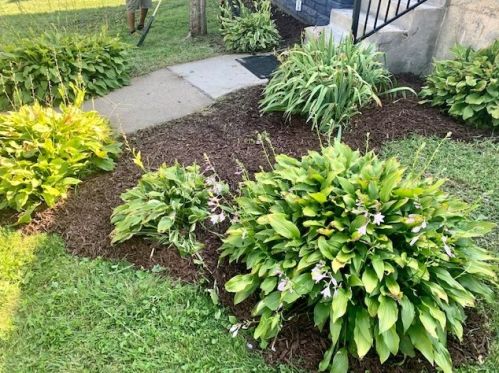 12816 Green St, Chicago, IL 60643-6608