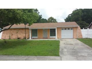 8215 Drycreek Dr, Tampa, FL 33615-1207