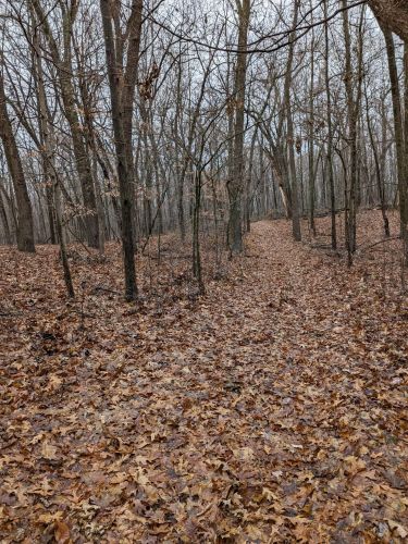 3763 2 St, Kalamazoo MI 49009-9319 exterior