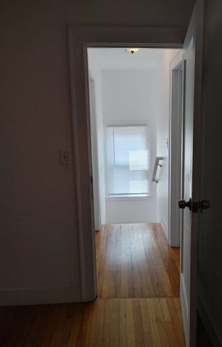 87 Lakevilla Ave, Springfield MA  01109-1405 exterior