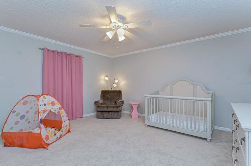 4219 Cartnal Ave, Tampa FL  33618-8600 exterior