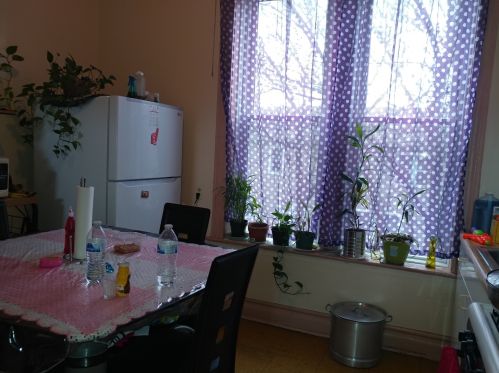 4801 Ada St, Chicago IL 60609-5919 exterior