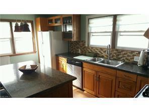 17301 Elsienna Ave, Cleveland OH  44135-1911 exterior