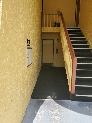 7632 Dolonita Dr, Tampa, FL 33615-2460