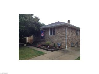 3311 Norris Ave, Cleveland OH  44134-3900 exterior