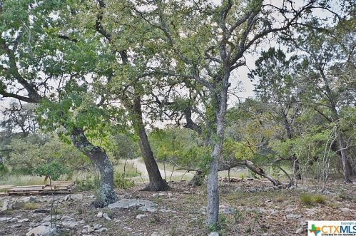 373 Line Cp Loop, Spring Branch TX 78070 exterior