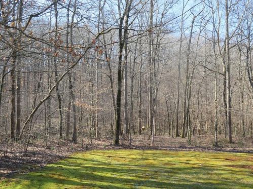 5548 Checkered Spot Dr, Gainesville GA 30506-7336 exterior