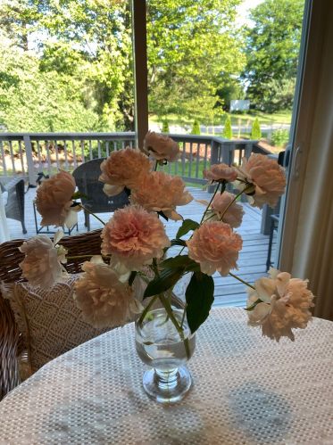 1628 Stockton Ln, Bull Valley IL 60014-2023 exterior