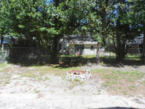 213 Minnehaha St, Tampa FL 33604-5737 exterior