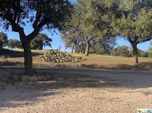 376 Fawn Dr, Spring Branch TX 78070-4704 exterior