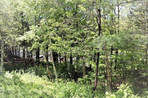 53 Modena Dr, Concord NH 03303-1553 exterior