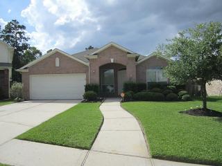 1506 Lindsey Terrace Ln, Spring TX  77386-3338 exterior