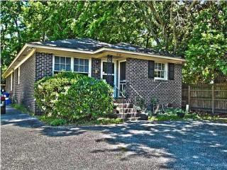 1728 Pinckney Park Dr, Charleston SC  29407-6234 exterior