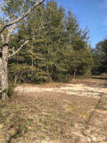 92 Monroe St, Defuniak Springs FL 32433-8321 exterior