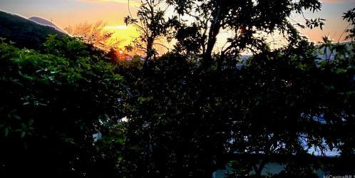 340 Kawaihae St, Honolulu HI  96825-1262 exterior