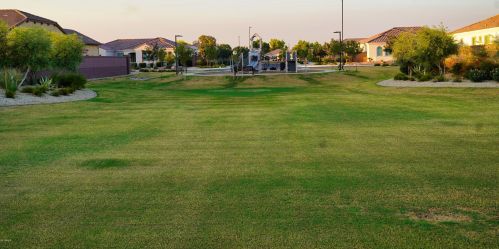 3527 Sagittarius Pl, Chandler AZ 85249-3751 exterior