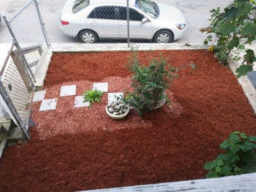 45 Greenbrier St, Boston MA  02124-1217 exterior