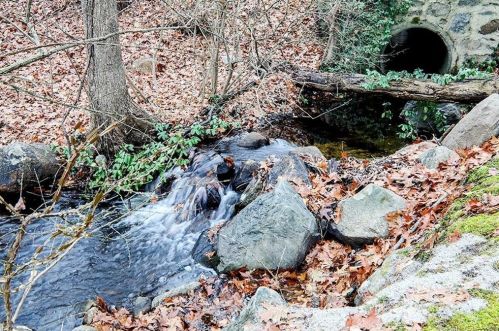 311 Silvermine Ave, Norwalk CT exterior