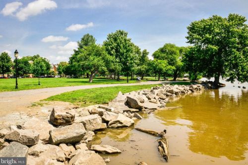 720 Bracey Ln, Alexandria VA  22314-6245 exterior