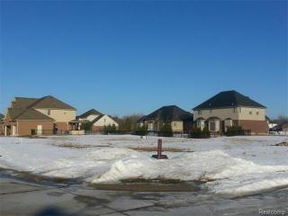 19487 Hamlin Lake Dr, Macomb Township, MI 48044-4250