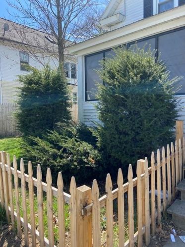 114 Draper St, Springfield MA 01108-2909 exterior