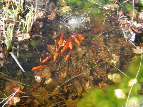 1610 Reed Ave, Manitowoc WI 54220-1835 exterior