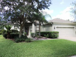 19206 Meadow Pine Dr, Tampa FL  33647-3615 exterior