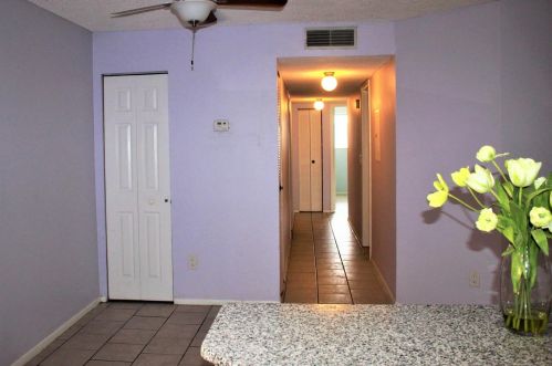 6008 Laketree Ln, Tampa FL 33617-1637 exterior