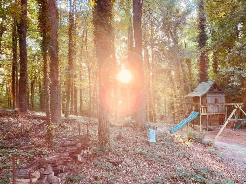 3611 Cloudland Dr, Atlanta GA 30327-2907 exterior