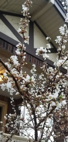 1745 102 St, Chicago IL 60643-2027 exterior