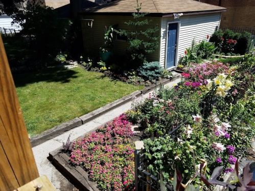 6219 Magnolia Ave, Chicago IL 60660-1908 exterior