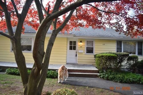 199 Knickerbocker Rd, Demarest NJ  07627-1011 exterior