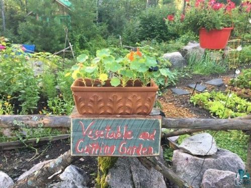 1118 Ringrock Rd, Ely MN 55731-8235 exterior