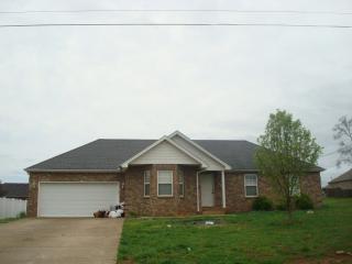 10003 Nevada Ave, Smyrna, TN 37167-7406
