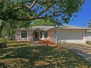 10018 Connechusett Rd, Tampa FL  33617-3910 exterior