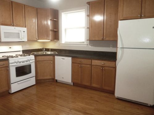 2528 Hamlin Ave, Chicago IL 60655-3916 exterior