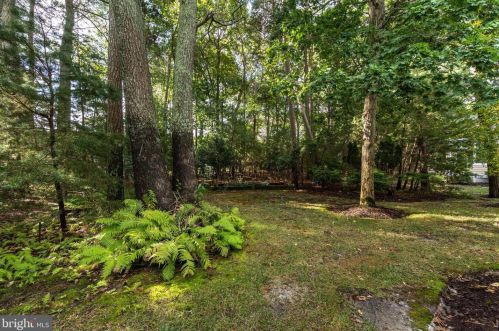 31792 Marsh Is Ave, Lewes DE 19958-3350 exterior