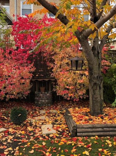 5250 Fletcher St, Chicago IL 60634-4006 exterior