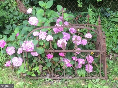 314 Pilottown Rd, Lewes DE 19958-1299 exterior