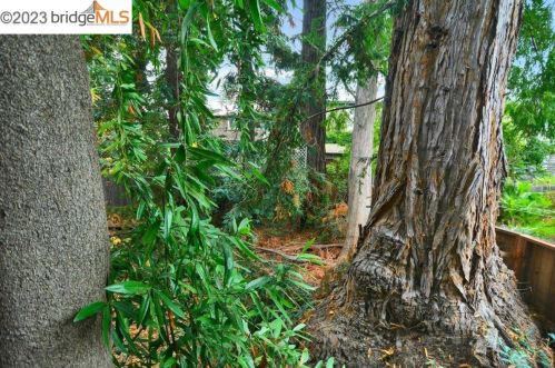 2133 Essex St, Berkeley CA 94705-1814 exterior