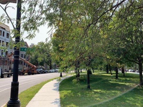 4043 Drexel Blvd, Chicago, IL 60653-2470