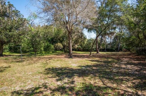 12403 53rd St, Tampa FL 33617-1451 exterior