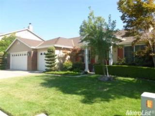 176 Springer Dr, Turlock CA  95382-8690 exterior