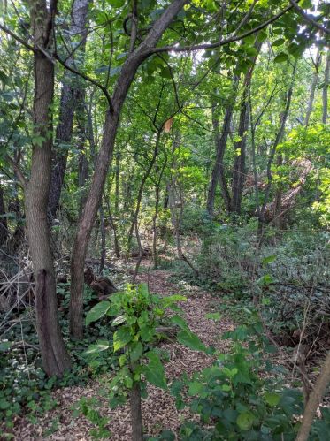 5536 Mount Vernon Ave, Kalamazoo MI  49024-1215 exterior