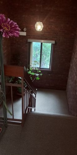 4901 Winona St, Chicago IL 60630-2436 exterior