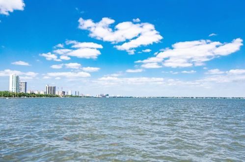 3203 Bayshore Blvd, Tampa FL 33629-1720 exterior