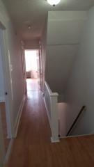 411 Hermitage Ave, Trenton NJ  08618-4419 exterior